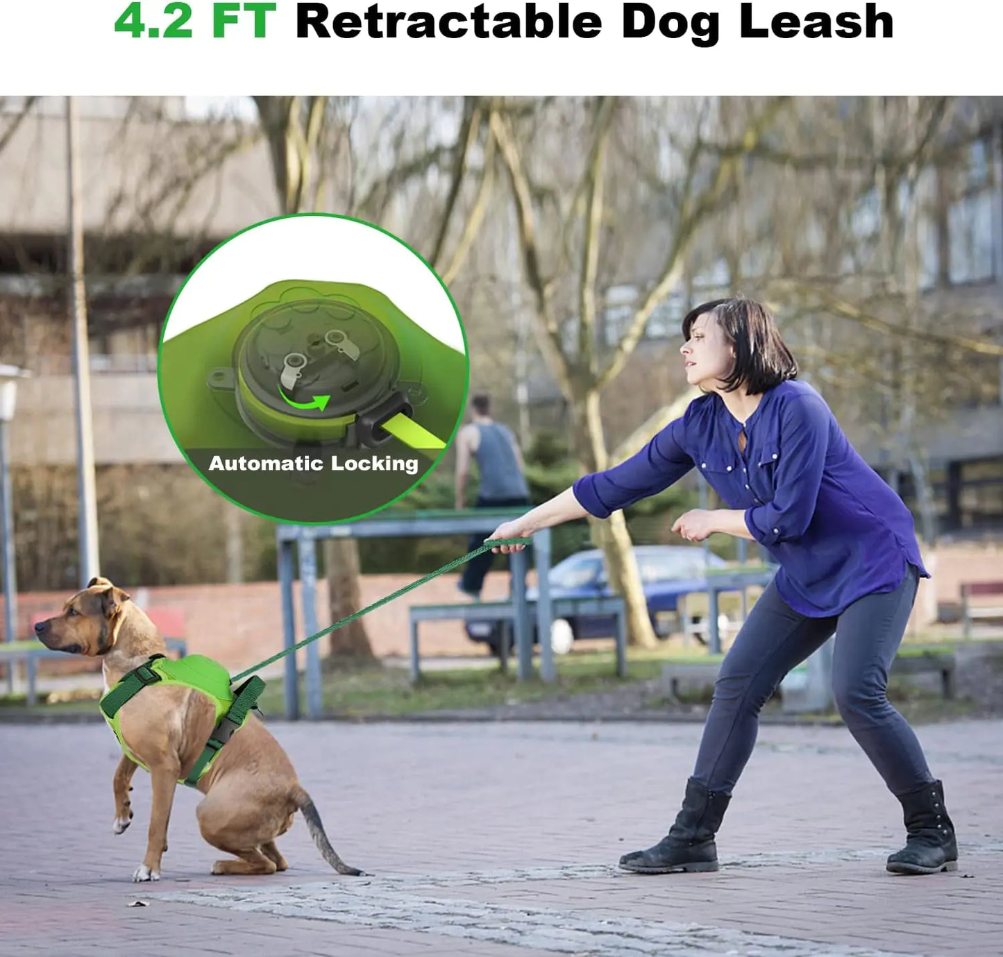 Dog Harness Retractable Leash Combo
