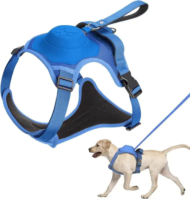 Dog Harness Retractable Leash Combo