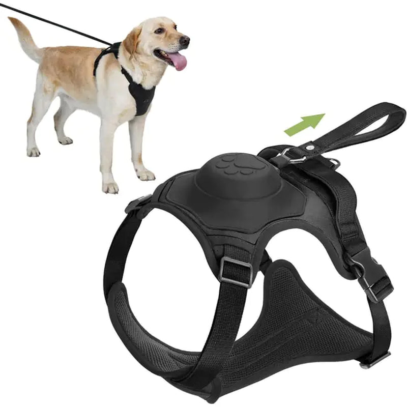 Dog Harness Retractable Leash Combo