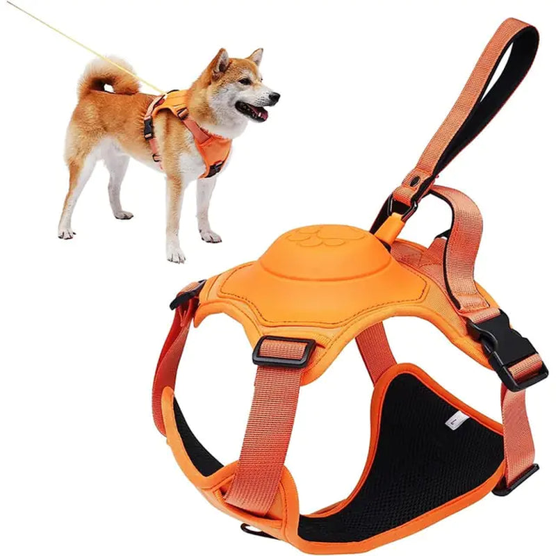 Dog Harness Retractable Leash Combo