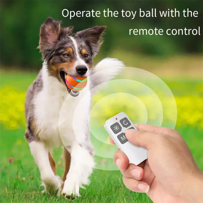 LED Interactive Toy Ball