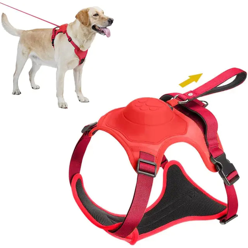 Dog Harness Retractable Leash Combo