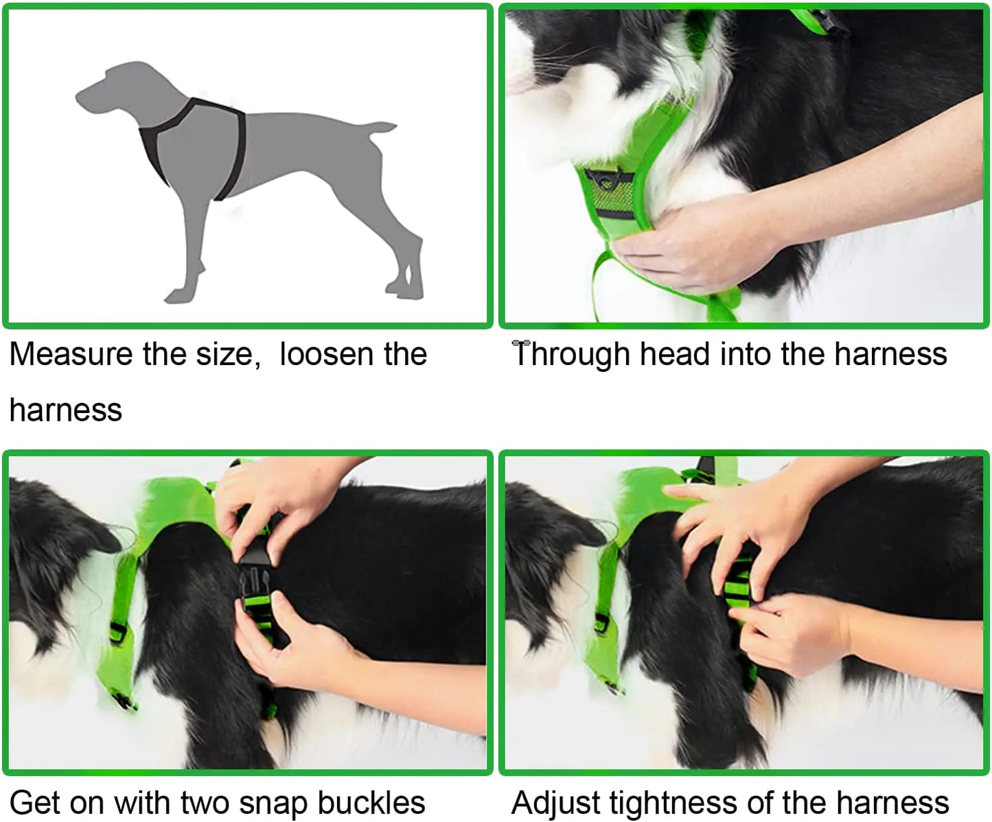 Dog Harness Retractable Leash Combo