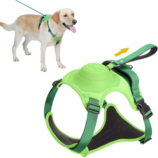Dog Harness Retractable Leash Combo